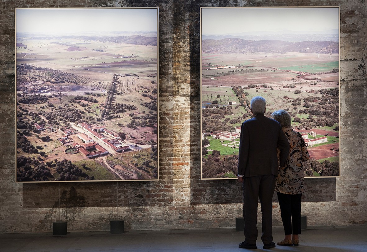 Archisearch Highlights from the 16th International Architecture Exhibition - La Biennale di Venezia