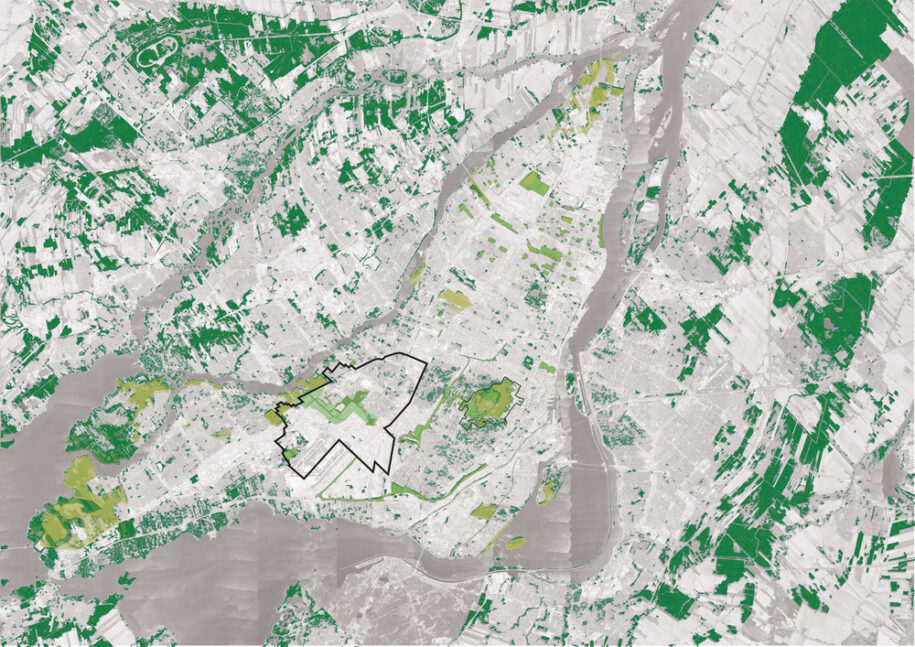 Archisearch Biodiversity Corridor: a diversified urban landscape reconnecting all living beings in Montréal, Canada by civiliti, LAND Italia, Table Architecture & Biodiversité Conseil