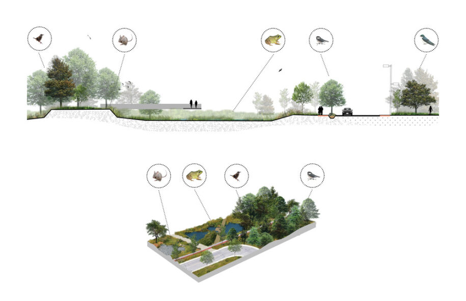 Archisearch Biodiversity Corridor: a diversified urban landscape reconnecting all living beings in Montréal, Canada by civiliti, LAND Italia, Table Architecture & Biodiversité Conseil