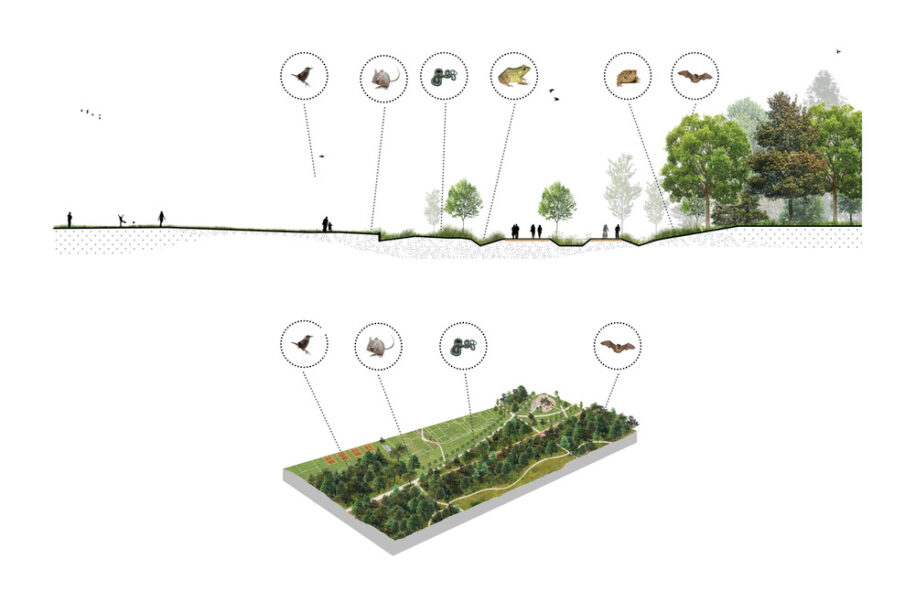 Archisearch Biodiversity Corridor: a diversified urban landscape reconnecting all living beings in Montréal, Canada by civiliti, LAND Italia, Table Architecture & Biodiversité Conseil