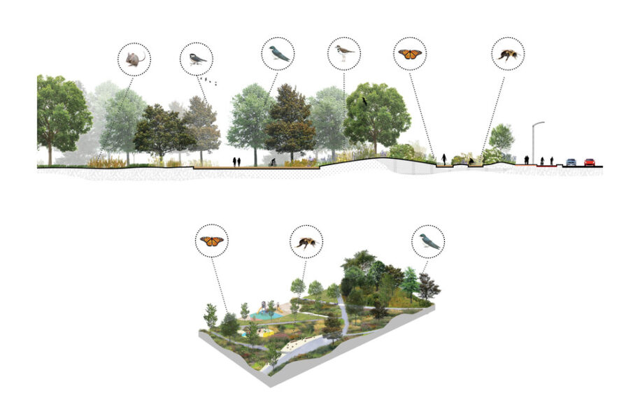 Archisearch Biodiversity Corridor: a diversified urban landscape reconnecting all living beings in Montréal, Canada by civiliti, LAND Italia, Table Architecture & Biodiversité Conseil