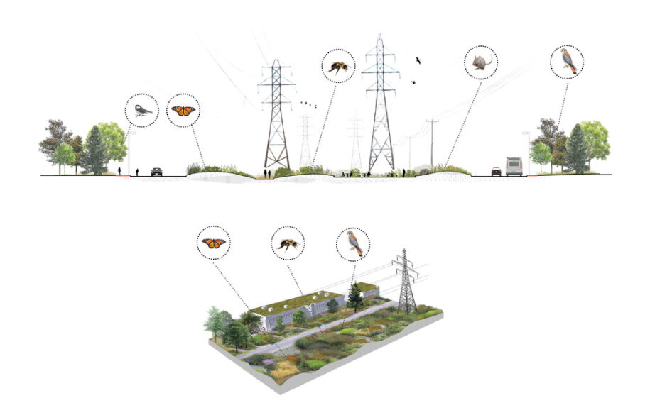 Archisearch Biodiversity Corridor: a diversified urban landscape reconnecting all living beings in Montréal, Canada by civiliti, LAND Italia, Table Architecture & Biodiversité Conseil