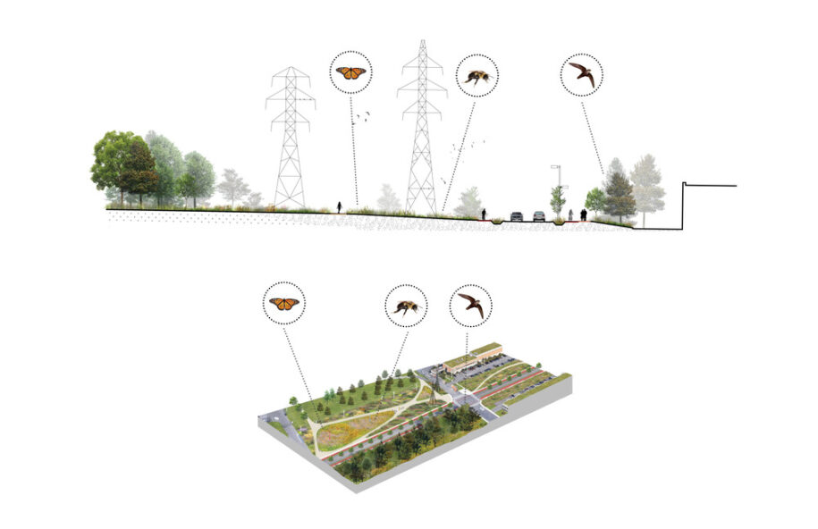 Archisearch Biodiversity Corridor: a diversified urban landscape reconnecting all living beings in Montréal, Canada by civiliti, LAND Italia, Table Architecture & Biodiversité Conseil