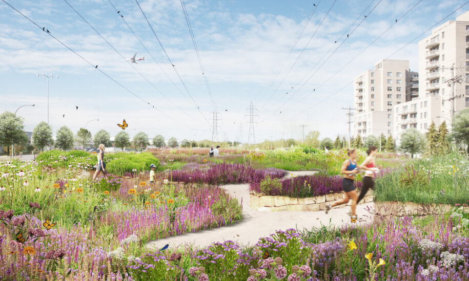 Archisearch Biodiversity Corridor: a diversified urban landscape reconnecting all living beings in Montréal, Canada by civiliti, LAND Italia, Table Architecture & Biodiversité Conseil