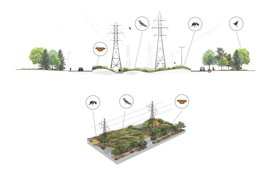 Archisearch Biodiversity Corridor: a diversified urban landscape reconnecting all living beings in Montréal, Canada by civiliti, LAND Italia, Table Architecture & Biodiversité Conseil