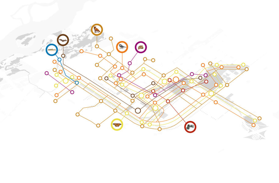 Archisearch Biodiversity Corridor: a diversified urban landscape reconnecting all living beings in Montréal, Canada by civiliti, LAND Italia, Table Architecture & Biodiversité Conseil