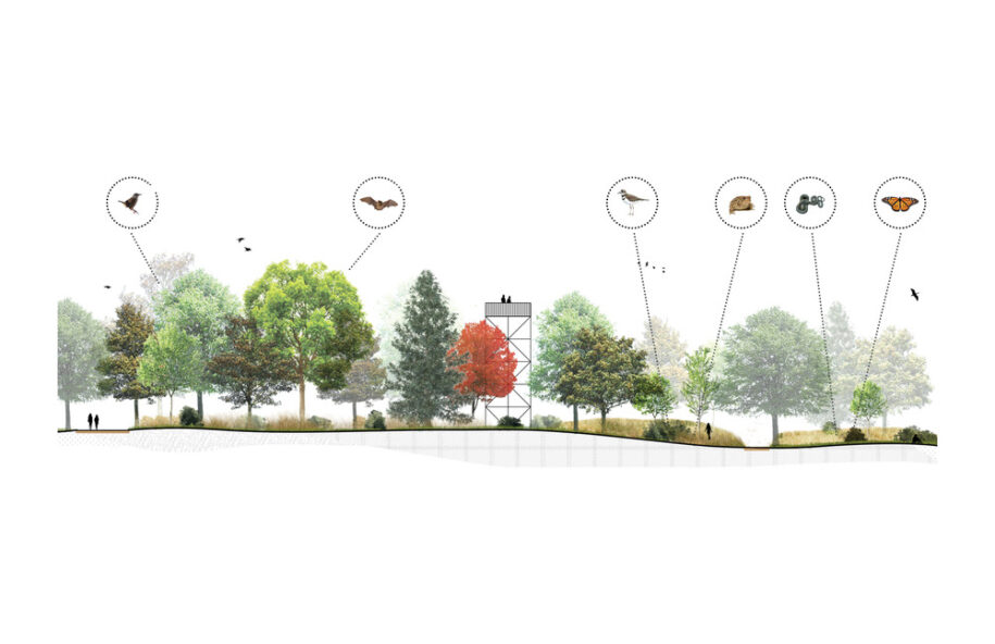Archisearch Biodiversity Corridor: a diversified urban landscape reconnecting all living beings in Montréal, Canada by civiliti, LAND Italia, Table Architecture & Biodiversité Conseil