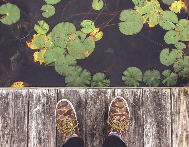 Archisearch - 4 Τρόποι να εντάξουμε την φύση στον χώρο εργασίας | ΕΚΑ Ελλάς