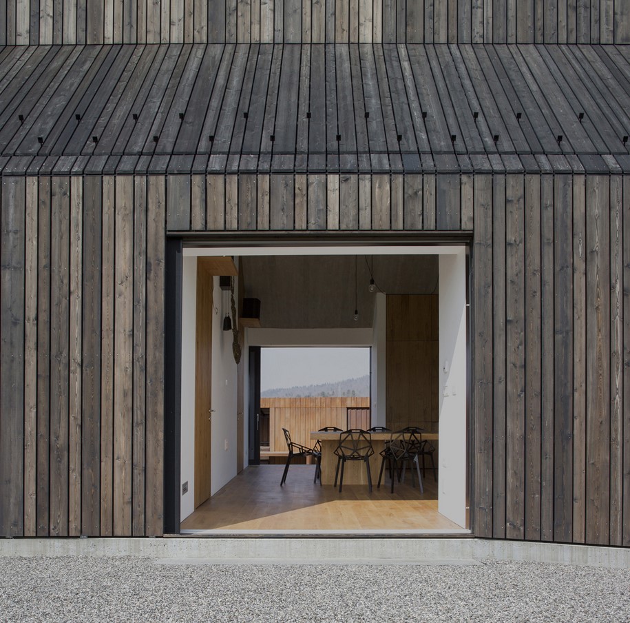 Chimney house, dekleva gregorič architects, Slovenia, 2016, local, chimney, residence, wood, skylight