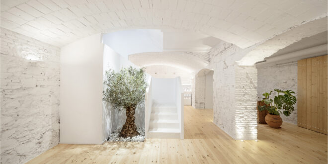 Archisearch - Carner Perfumery in Barcelona, Spain | Jofre Roca arquitectes