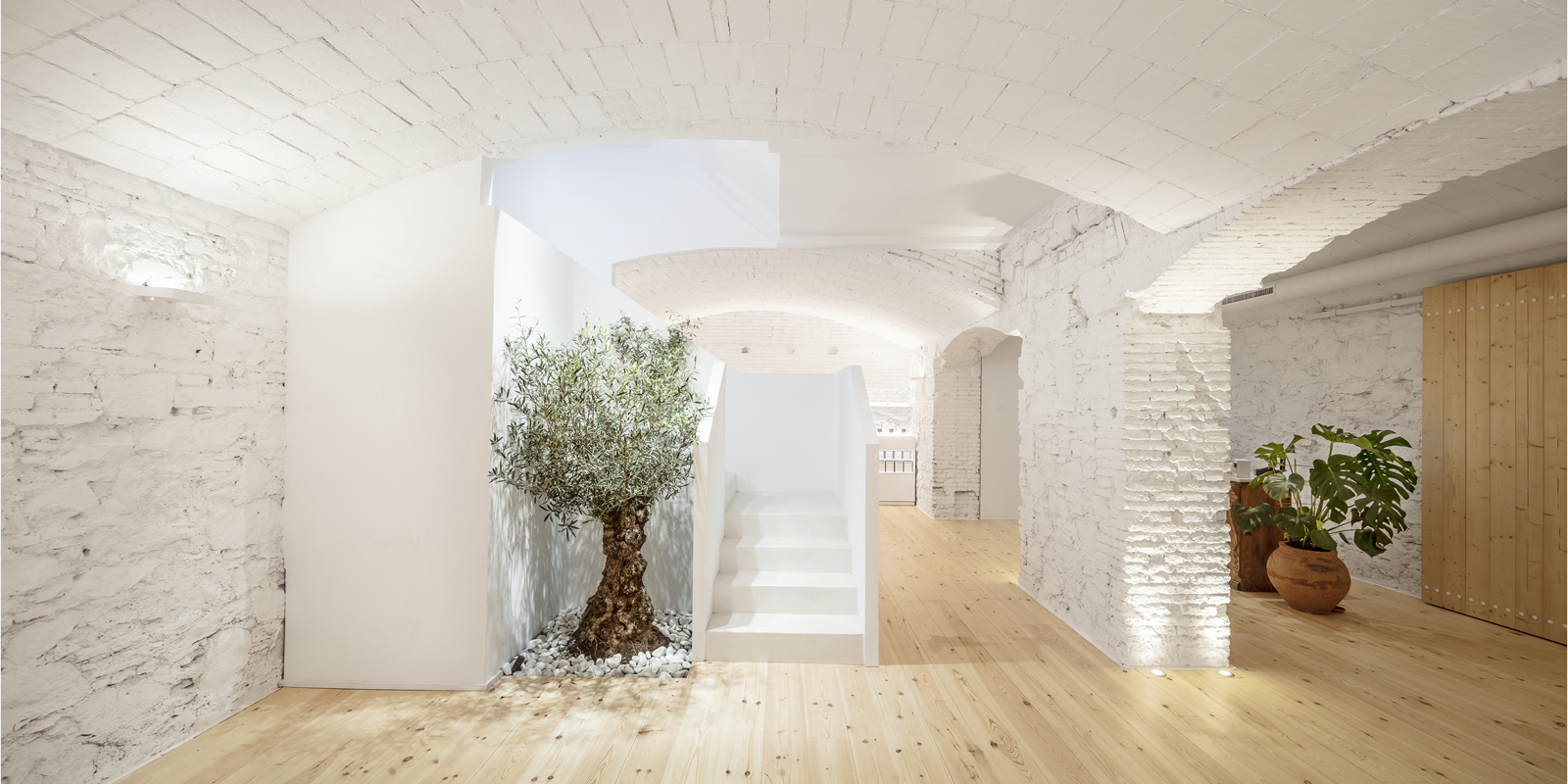 Archisearch Carner Perfumery in Barcelona, Spain | Jofre Roca arquitectes