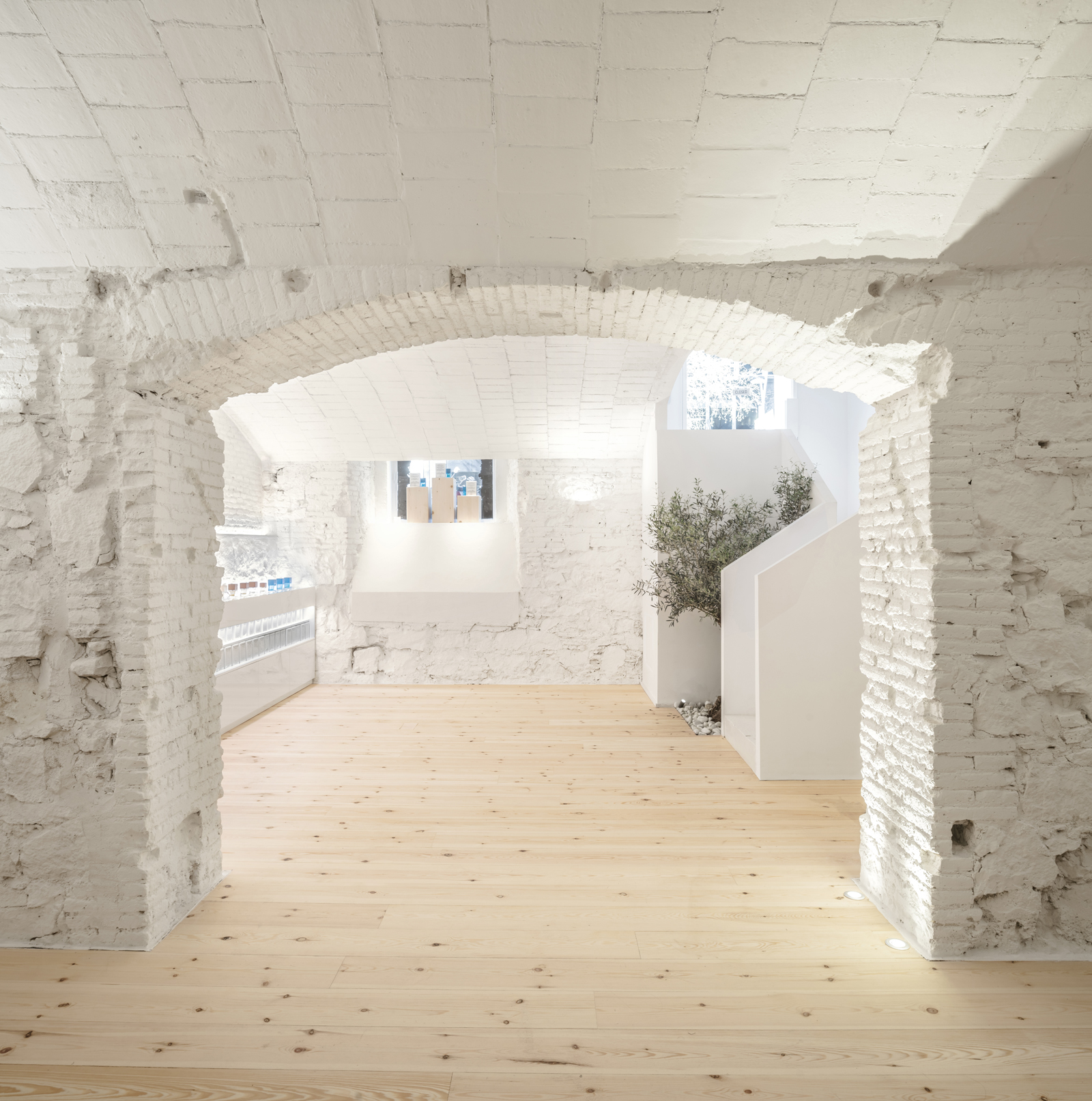 Archisearch Carner Perfumery in Barcelona, Spain | Jofre Roca arquitectes