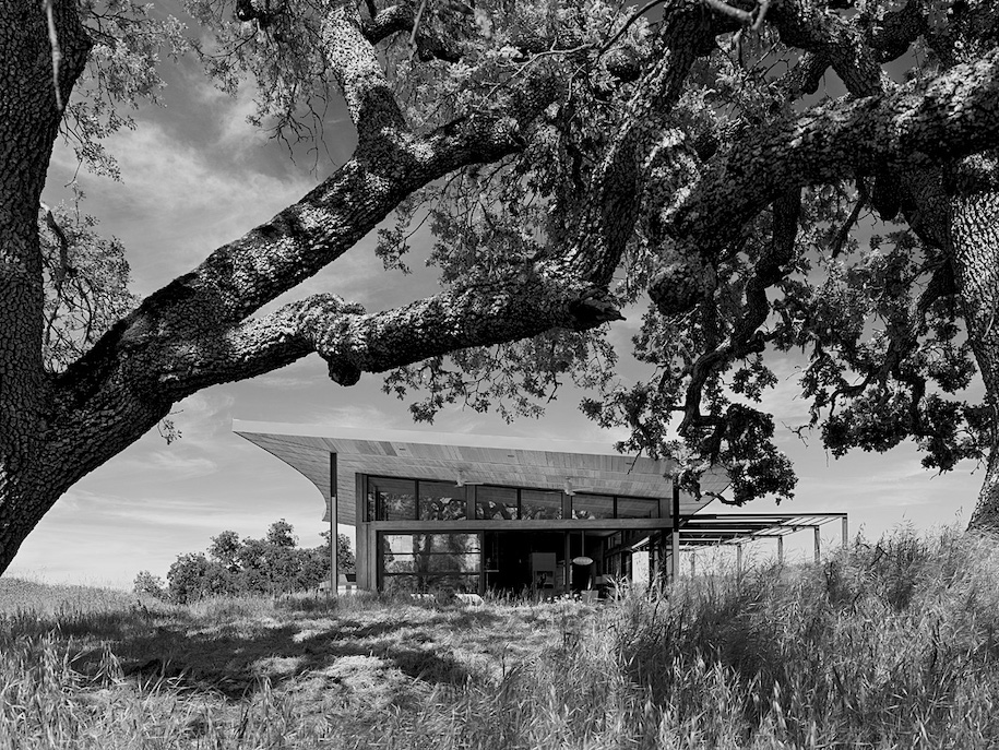 Archisearch Caterpillar House by Feldman Architecture sits in the hills of Central California