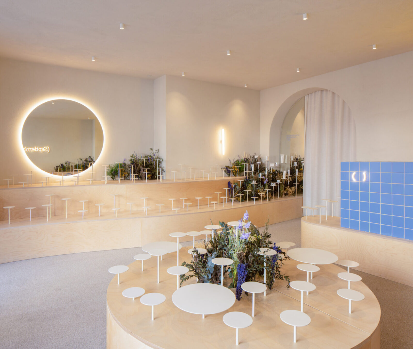 Archisearch Clap Studio recreates an Aster field with real and conceptual flowers at the interior of Septiembre Clinic