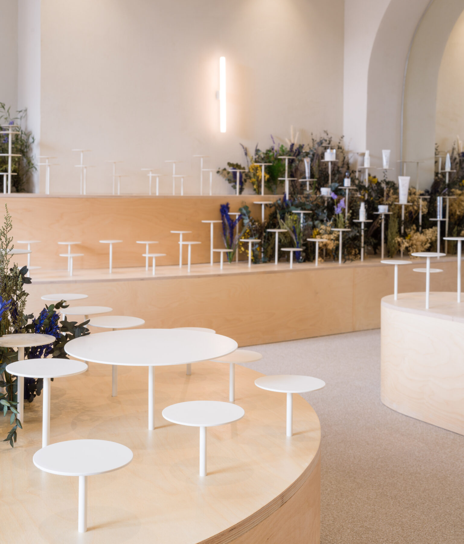 Archisearch Clap Studio recreates an Aster field with real and conceptual flowers at the interior of Septiembre Clinic