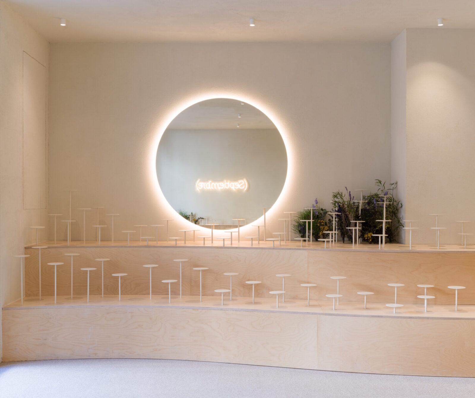 Archisearch Clap Studio recreates an Aster field with real and conceptual flowers at the interior of Septiembre Clinic