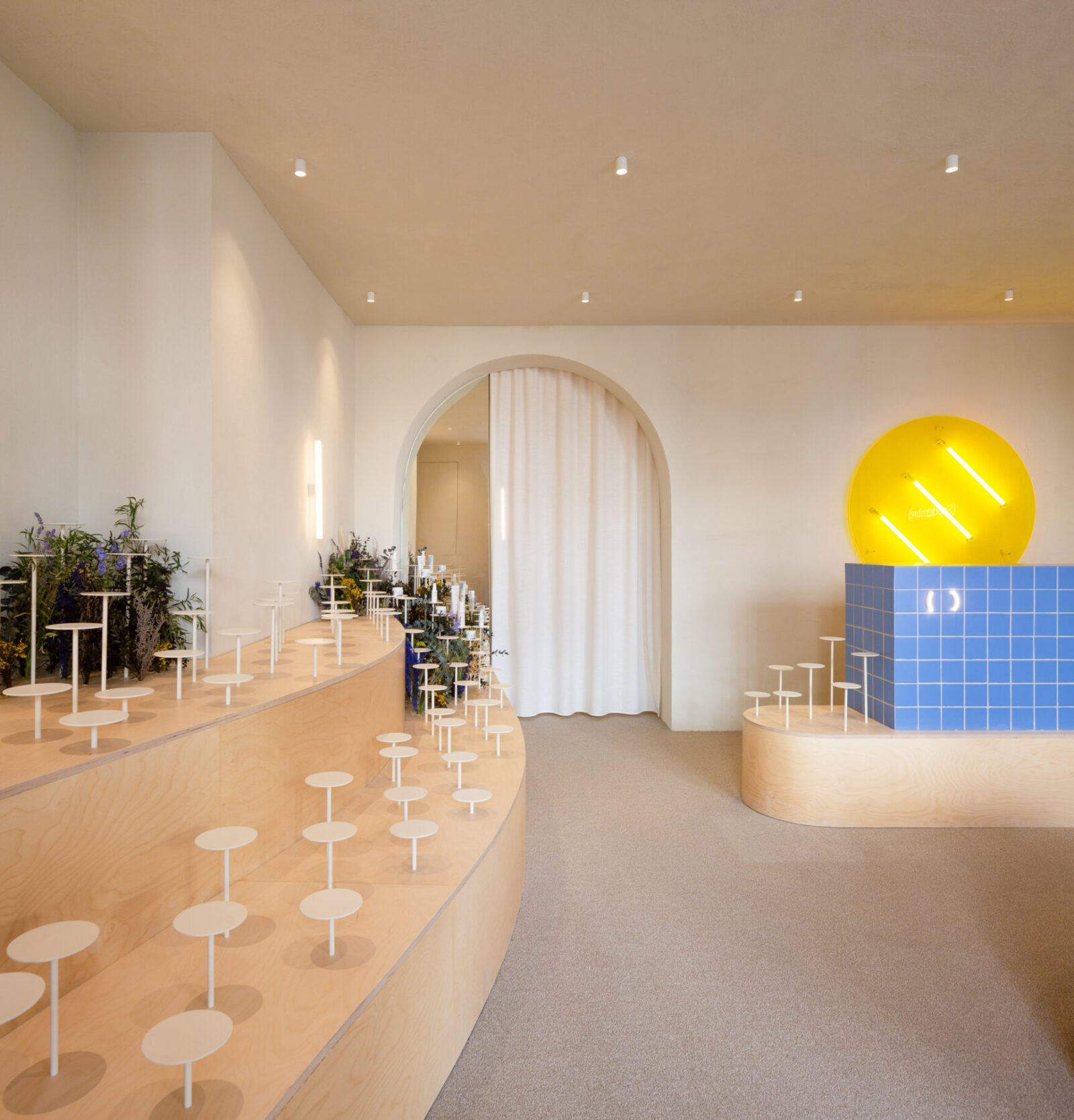 Archisearch Clap Studio recreates an Aster field with real and conceptual flowers at the interior of Septiembre Clinic