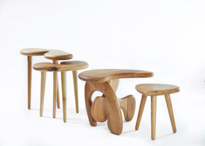 Archisearch - THINGS TO TOUCH: MAKING WORKS FOR BODY SEERS | Fotis Flevotomos