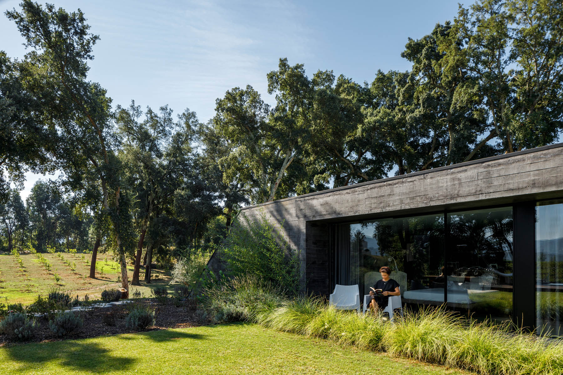 Archisearch Cork Oak House in Celorico de Basto, Portugal | Hugo Pereira Arquitetos