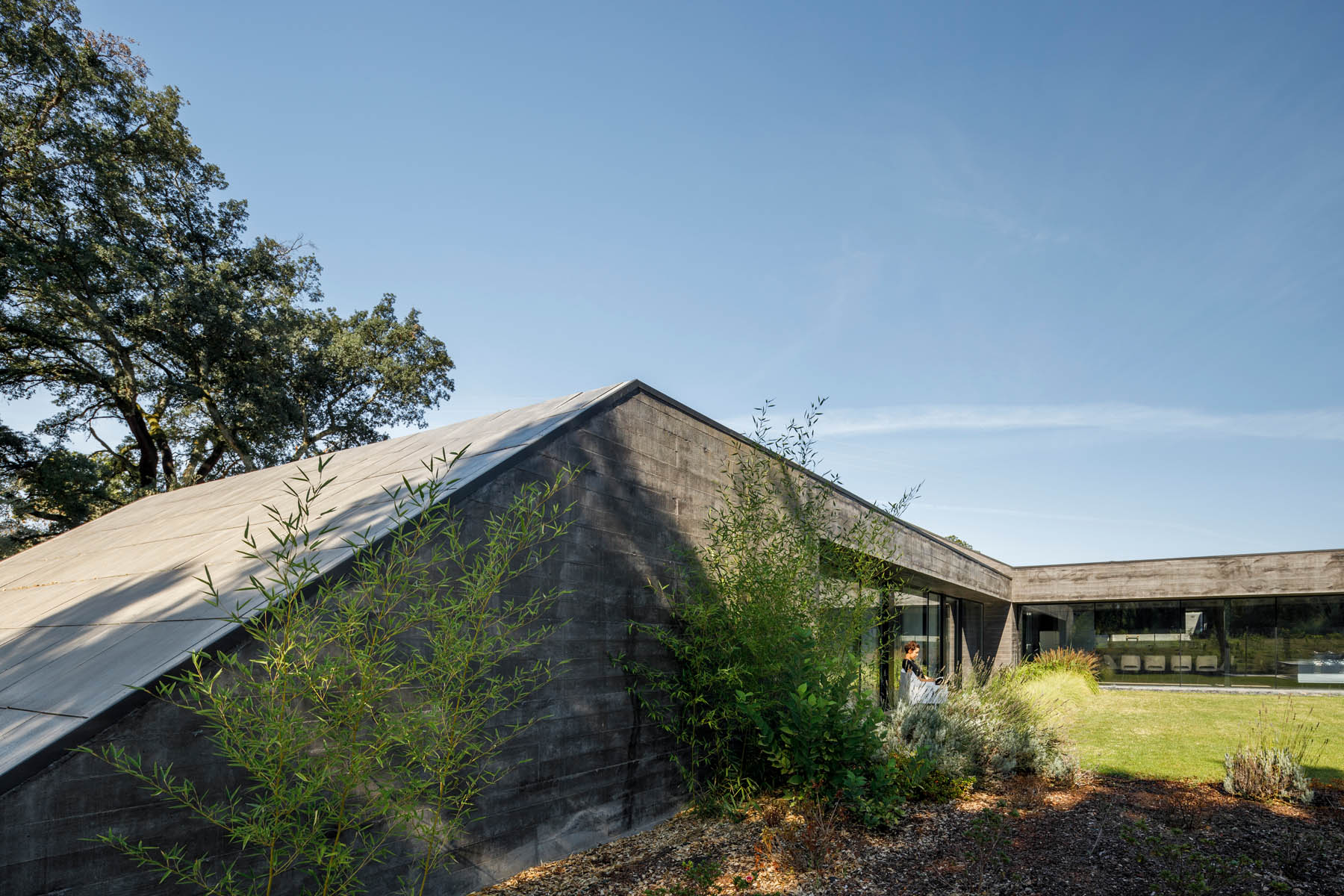 Archisearch Cork Oak House in Celorico de Basto, Portugal | Hugo Pereira Arquitetos