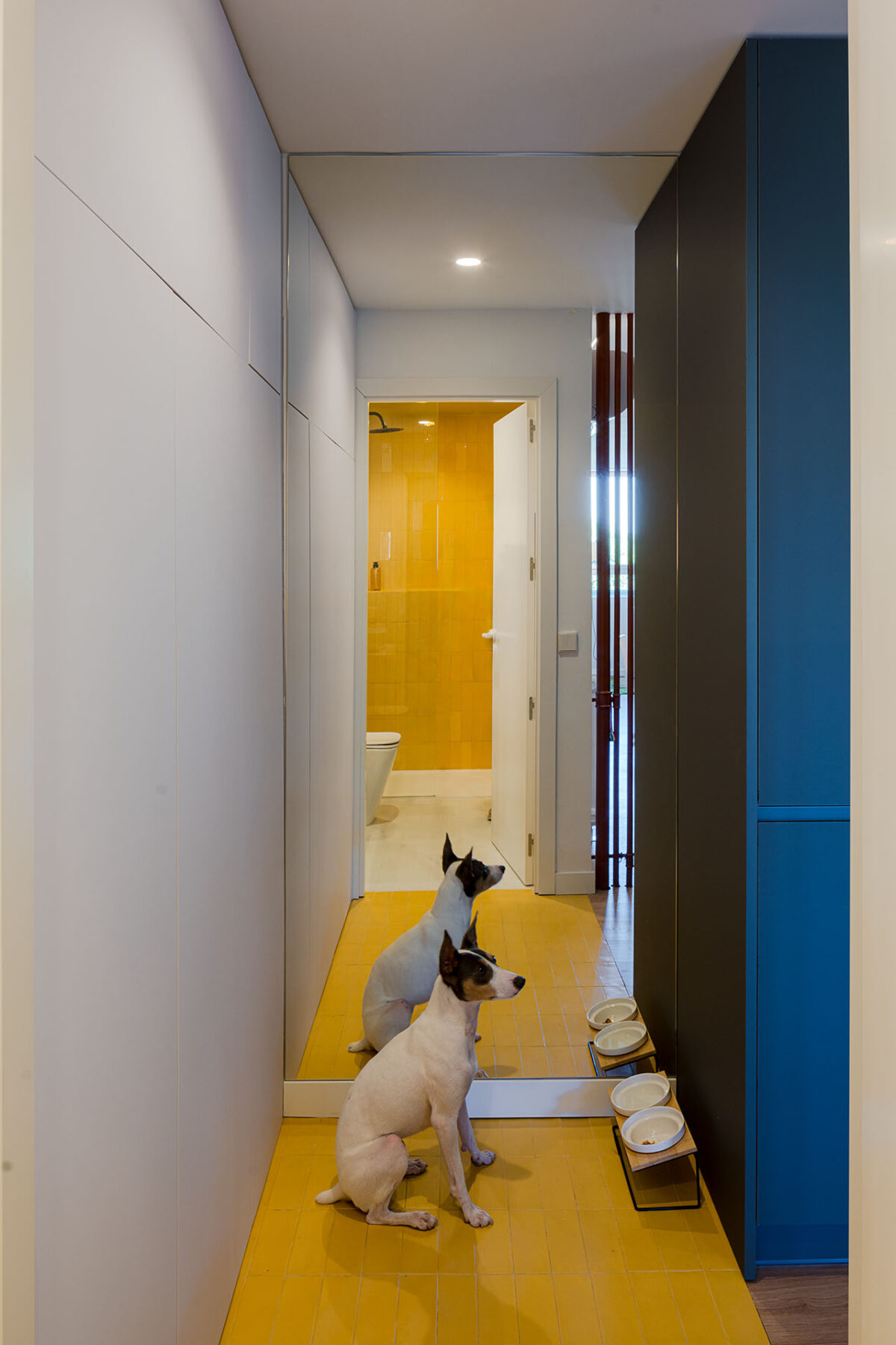 Archisearch DUNA in the district of Canillas, Madrid | by gon architects