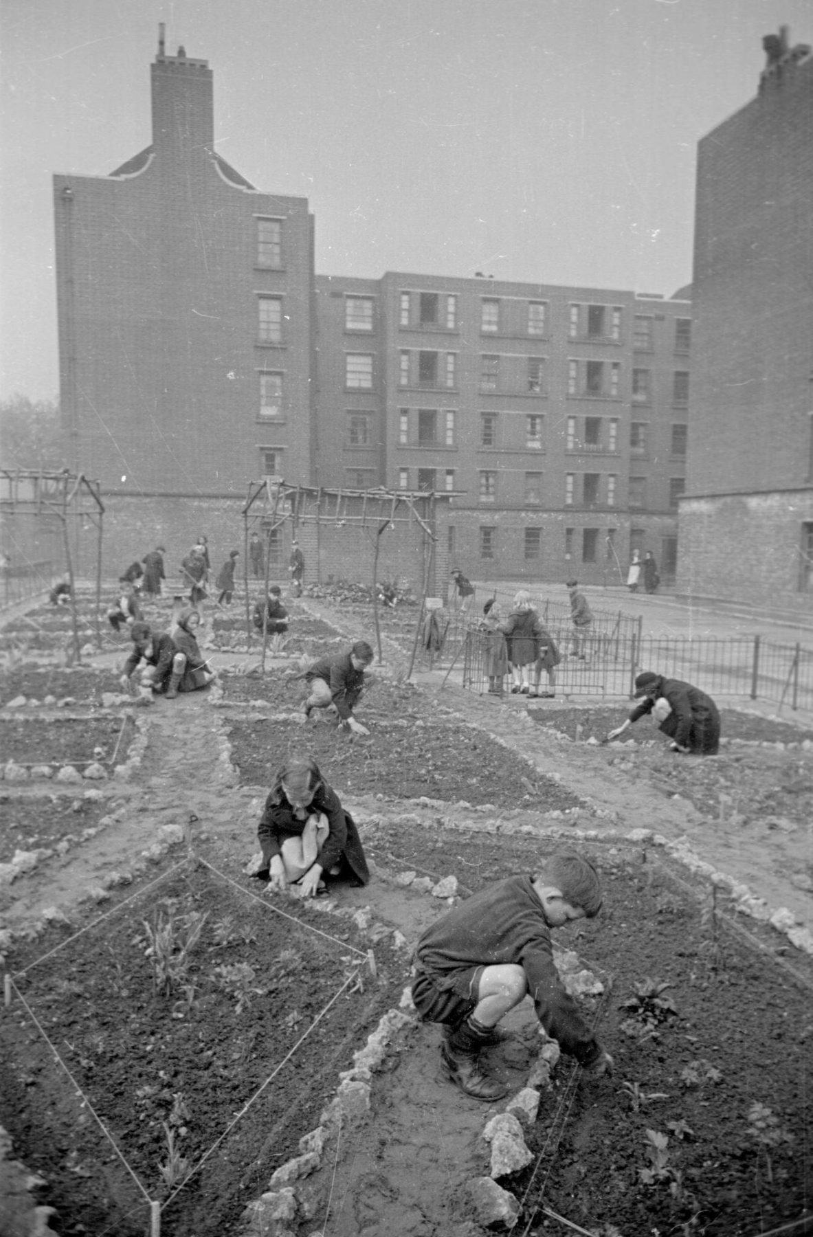Archisearch An Architecture of Care | Episode 4: With Farmstead Road, Metropolitan Workshop Reinterprets Lewisham’s Arts & Crafts Legacy into Affordable, Sustainable Housing.