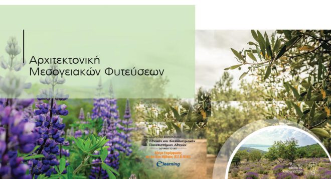 Archisearch - Αρχιτεκτονική Μεσογειακών Φυτεύσεων | Πρόγραμμα Συμπληρωματικής Εξ' Αποστάσεως Εκπαίδευσης
