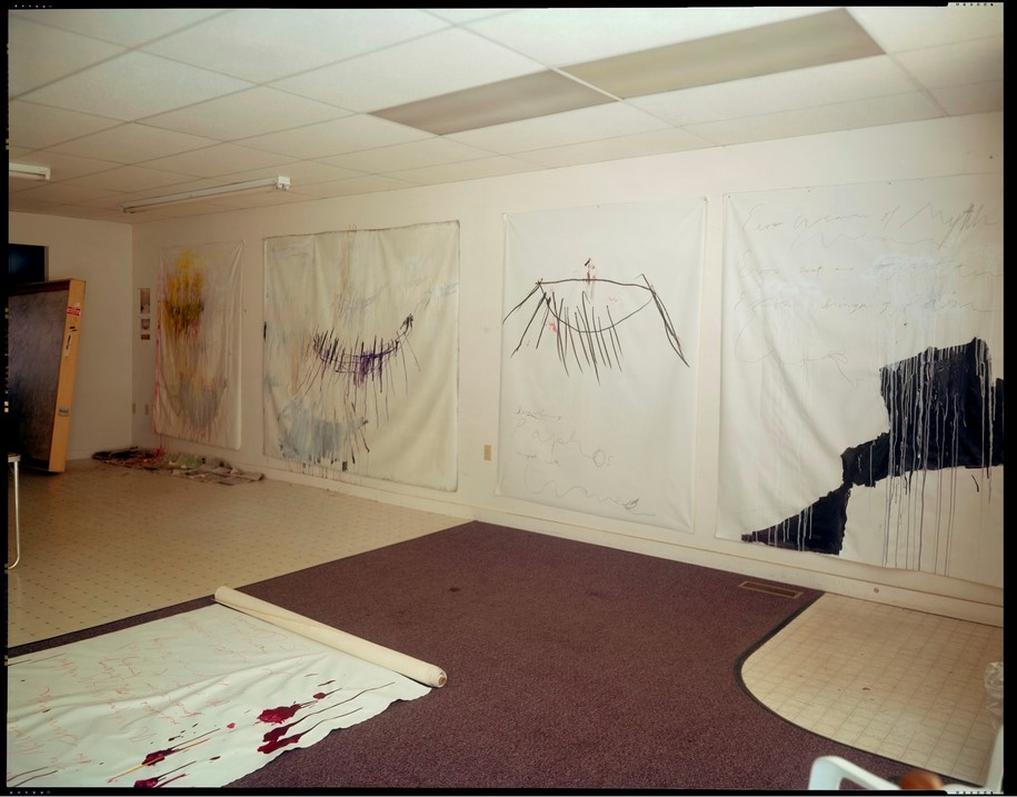Archisearch REMEMBERED LIGHT: CY TWOMBLY IN LEXINGTON - Sally Mann | Gagosian Gallery, Athens