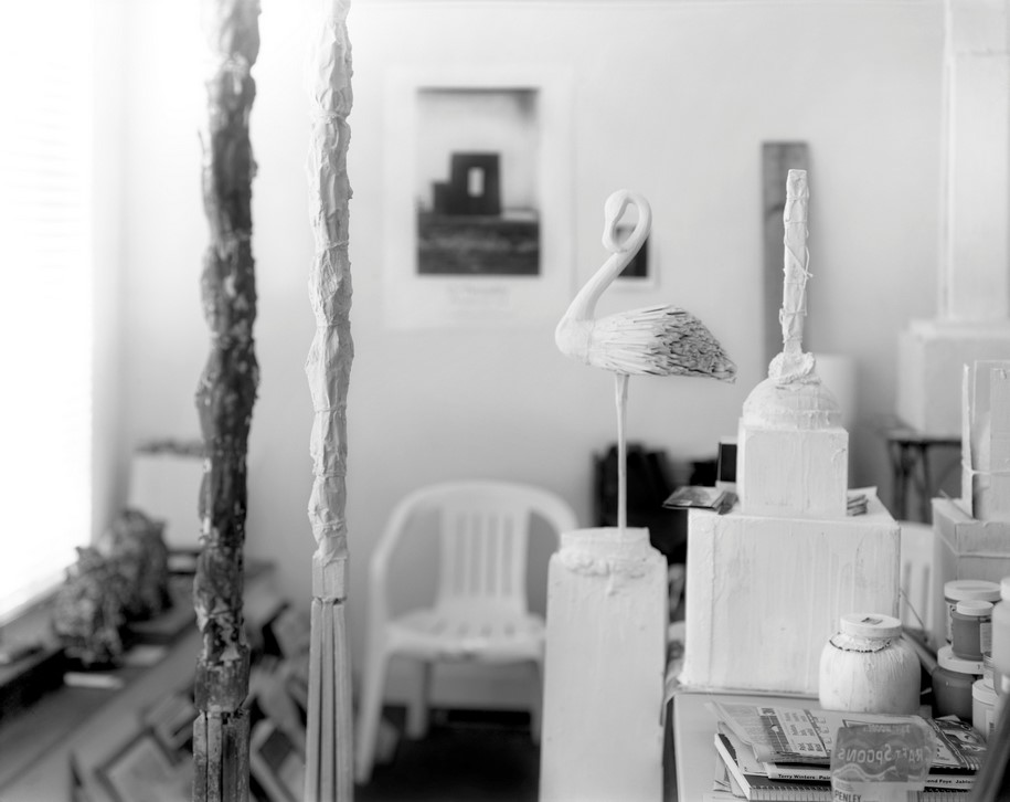 Archisearch REMEMBERED LIGHT: CY TWOMBLY IN LEXINGTON - Sally Mann | Gagosian Gallery, Athens