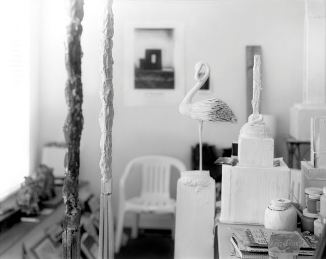 Archisearch - REMEMBERED LIGHT: CY TWOMBLY IN LEXINGTON - Sally Mann | Gagosian Gallery, Athens