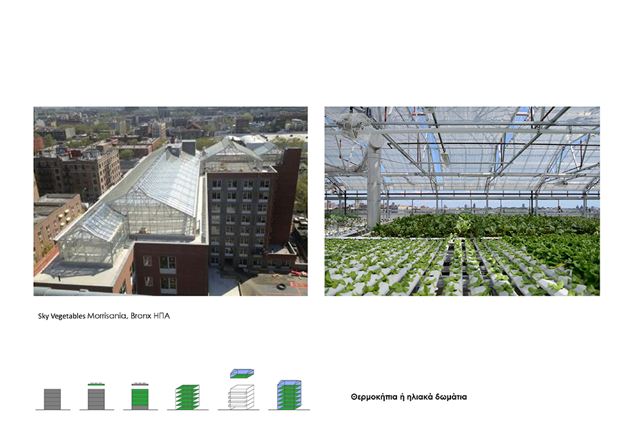 Archisearch Productive cities & permaculture: implementations in buildings in the city of Athens | Research thesis by Georgia Kougioumoutzi