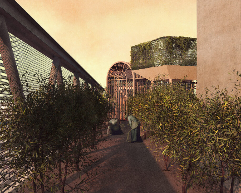 Archisearch The inland of Megalopolis: olive grove's fruit | Diploma thesis by Christos Voutsas & Thomas Gkikas