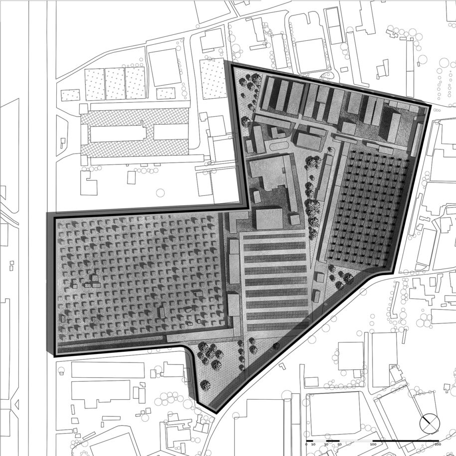 Archisearch The inland of Megalopolis: olive grove's fruit | Diploma thesis by Christos Voutsas & Thomas Gkikas