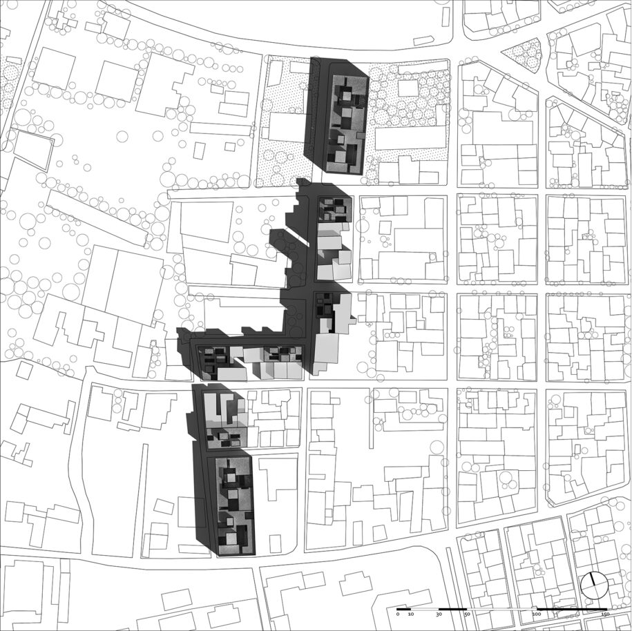 Archisearch The inland of Megalopolis: olive grove's fruit | Diploma thesis by Christos Voutsas & Thomas Gkikas