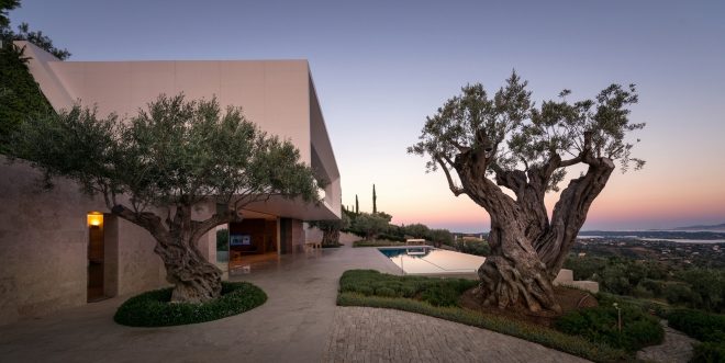 Archisearch - TAS 2019 - The Photographer’s EYE​ | Pygmalion Karatzas