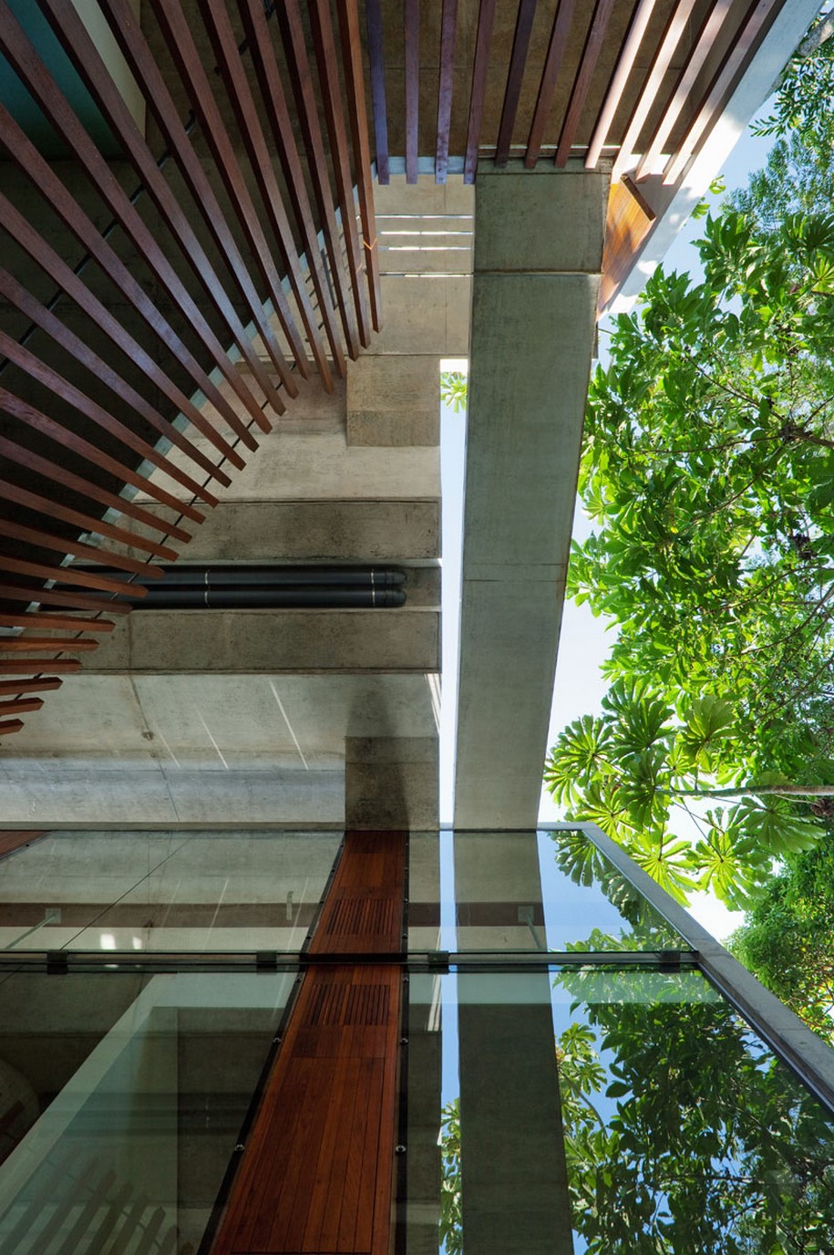 Archisearch spbr arquitetos designed a house that floats among the trees in Brazil