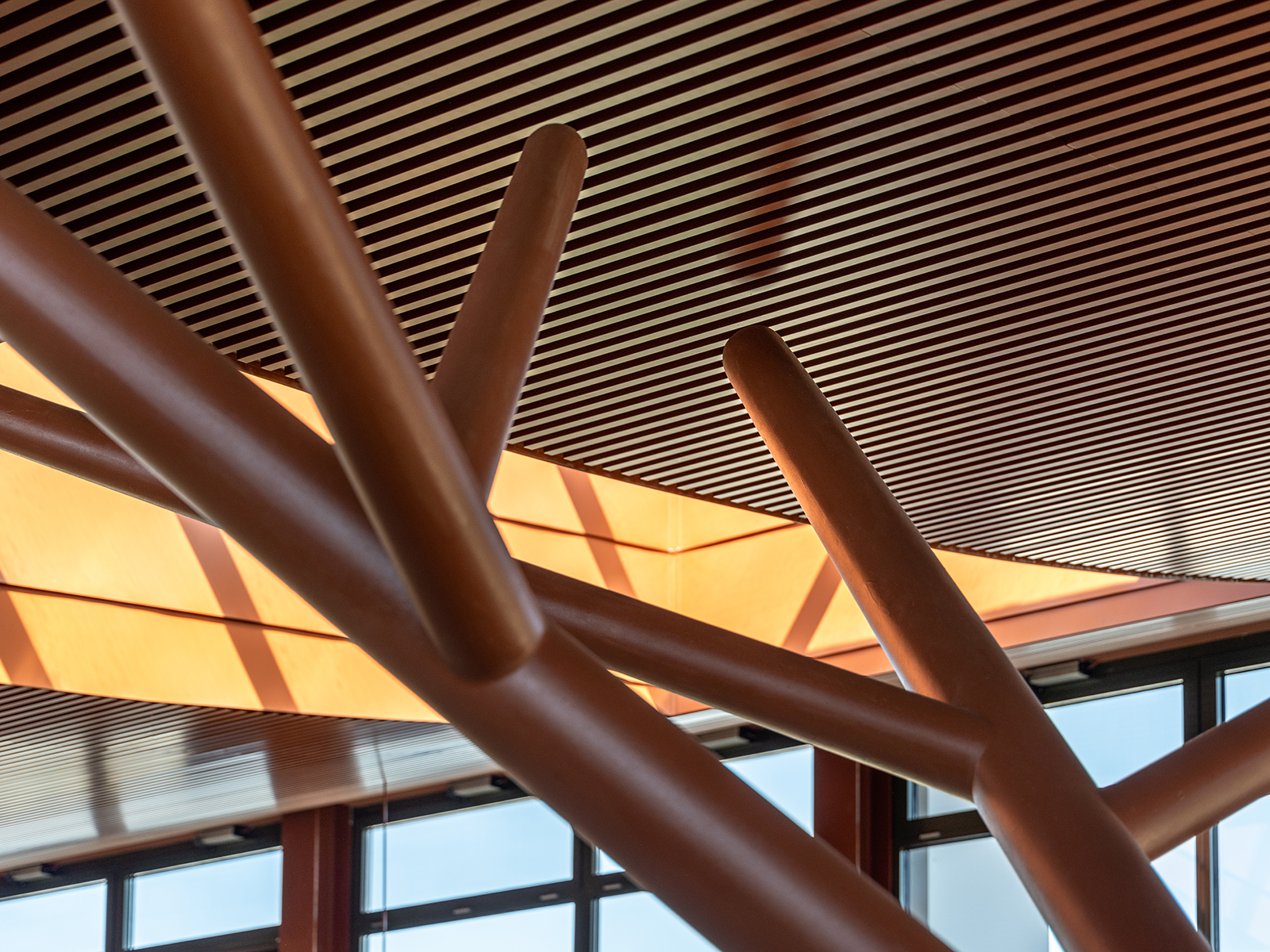 Archisearch Pinewood by Micromega Architecture & Strategies, with Alexandros N. Tombazis Architects | Design for education - Creating Spaces for the citizens of the future | won an award at GRAIL Awards 2025