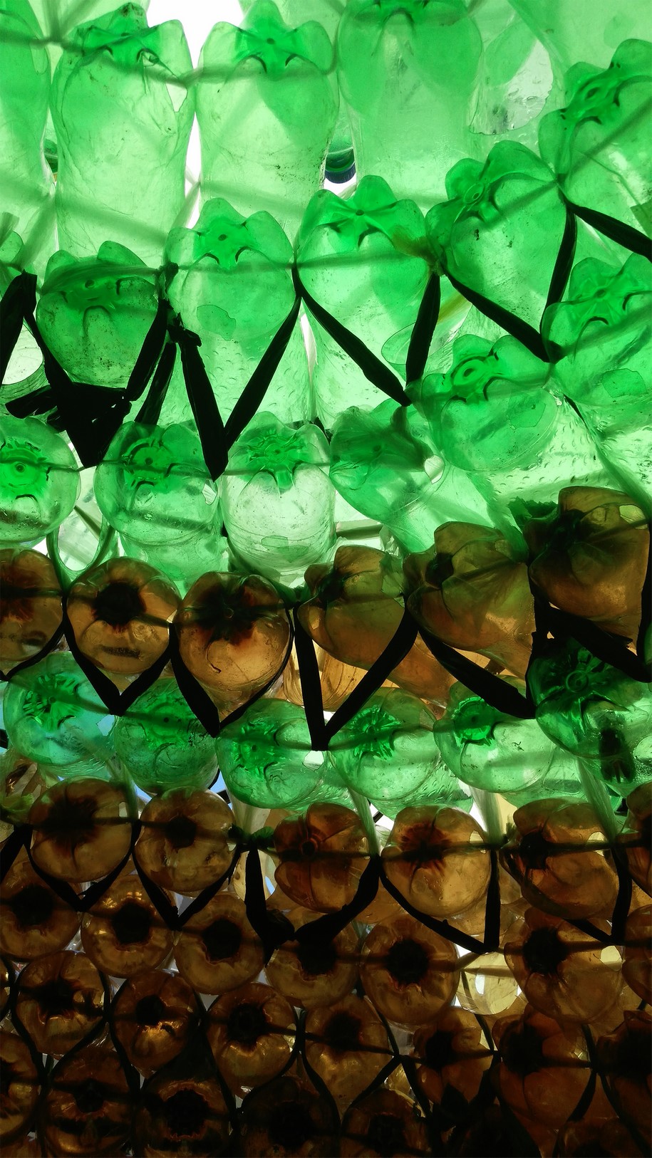 Evdokia Demetriou, HOUSE FOR HOPE, shelter, homeless people, plastic bottles
