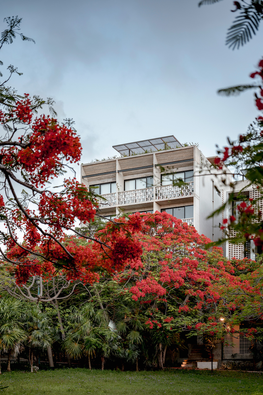 Archisearch Kiltro Polaris created Huachinango 36 collective housing in Cancún, Mexico