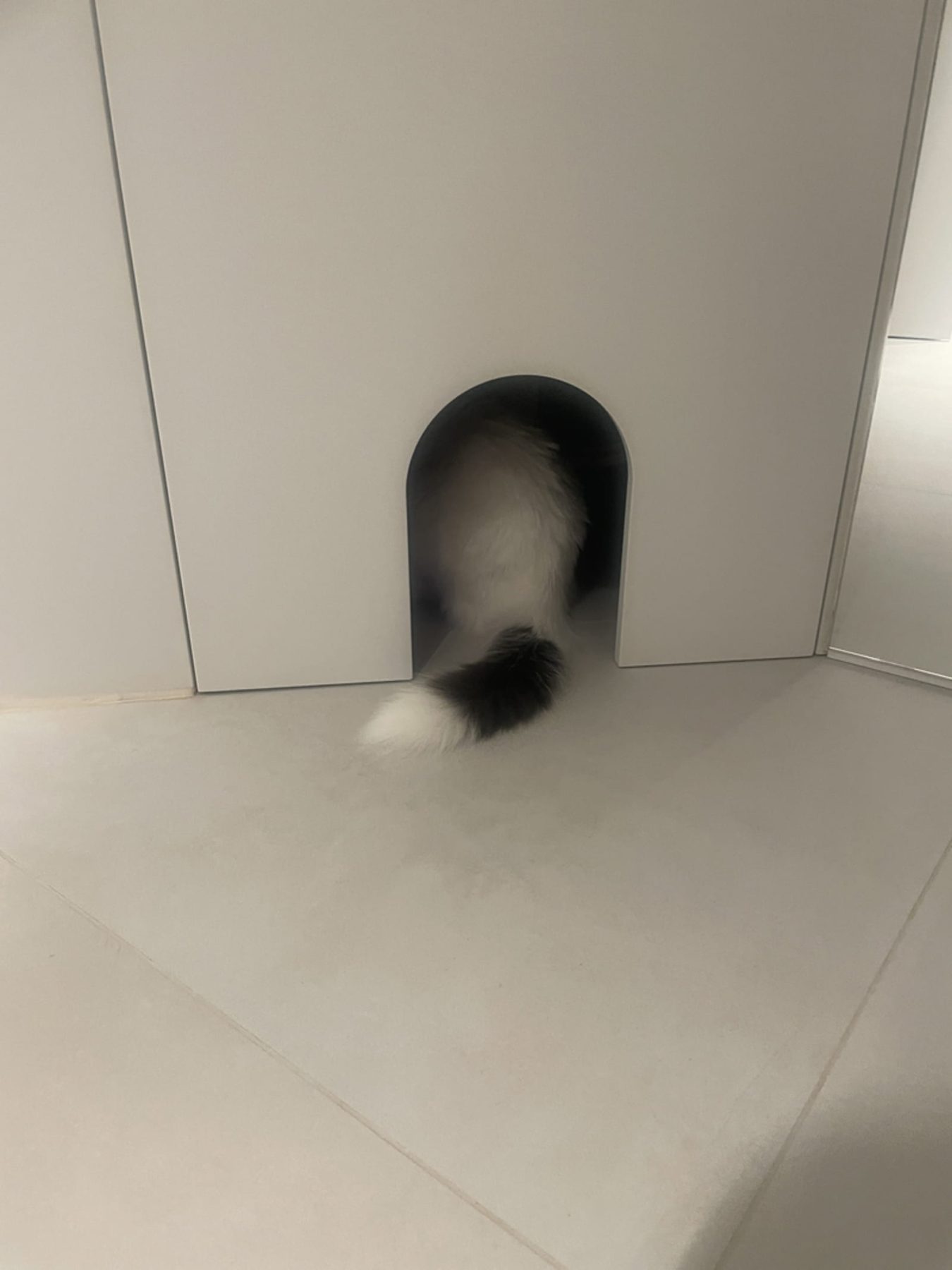 Archisearch Architect Eirini Viaropoulou Transforms a Law Office into a Spacious Home in Exarchia, Athens