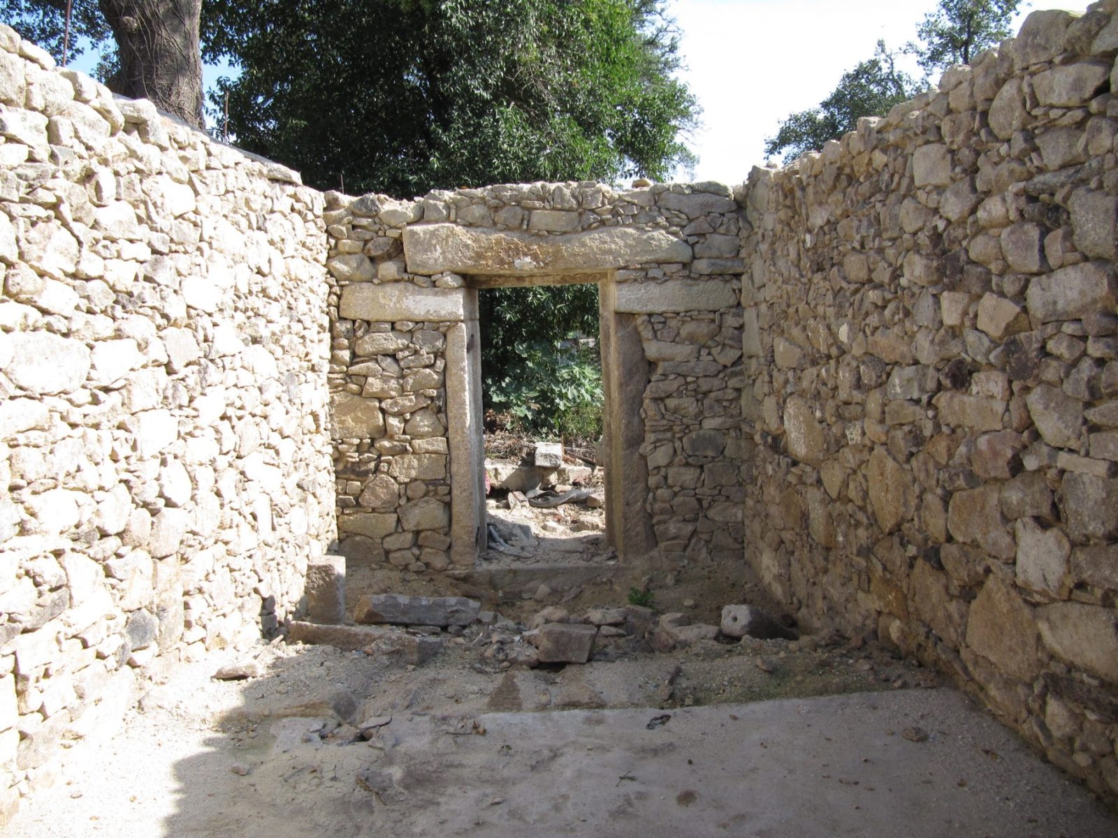 Archisearch AZO Transforms a Ruined Dovecote in Rural Portugal into a Concrete Tree Playhouse