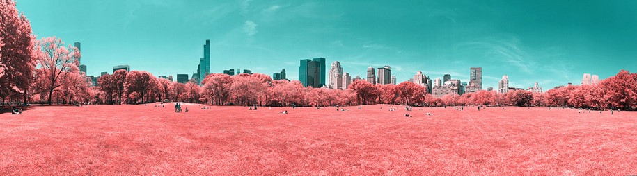 Paolo Pettigiani, infrared, New York, NYC, Central Park, photography, pink, nature