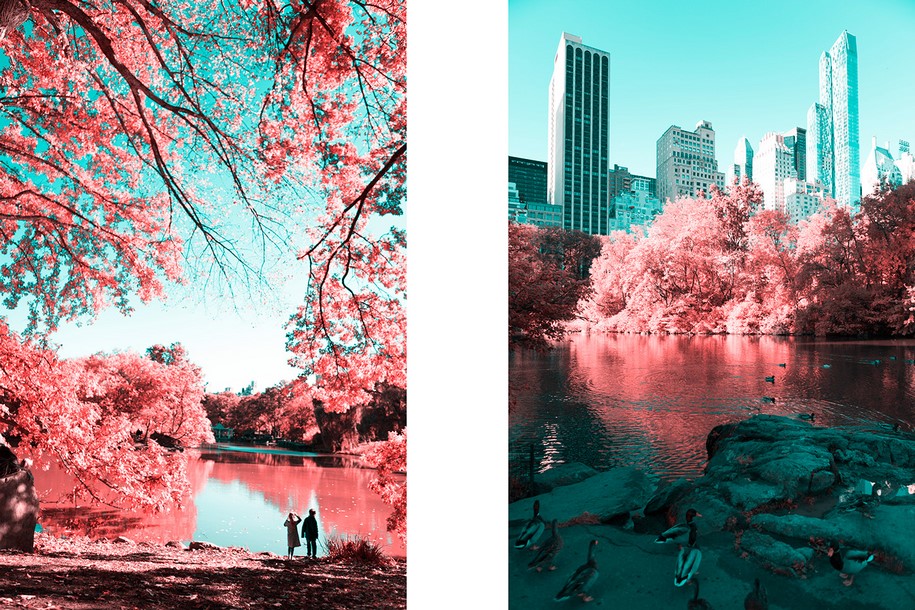 Paolo Pettigiani, infrared, New York, NYC, Central Park, photography, pink, nature