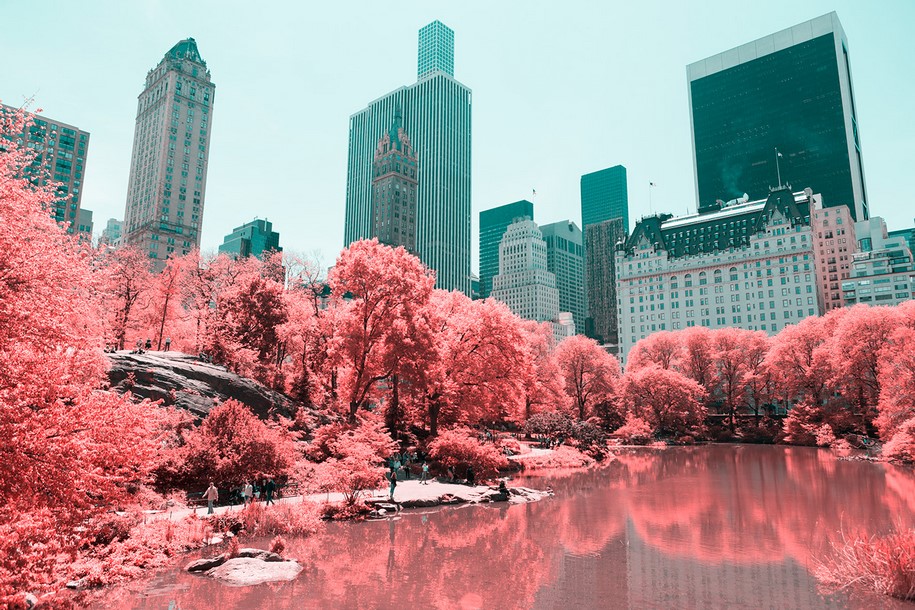 Paolo Pettigiani, infrared, New York, NYC, Central Park, photography, pink, nature