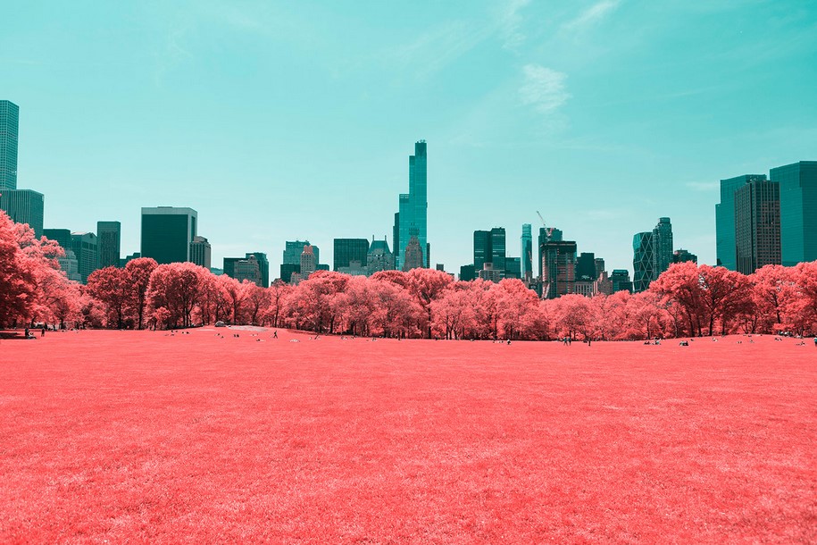 Paolo Pettigiani, infrared, New York, NYC, Central Park, photography, pink, nature