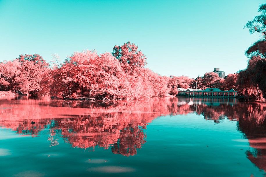 Paolo Pettigiani, infrared, New York, NYC, Central Park, photography, pink, nature