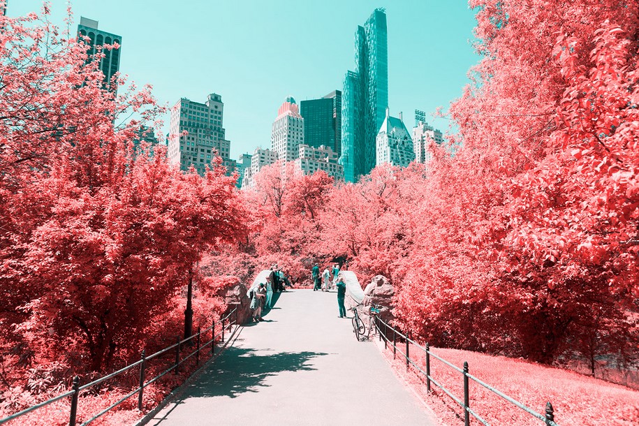 Paolo Pettigiani, infrared, New York, NYC, Central Park, photography, pink, nature