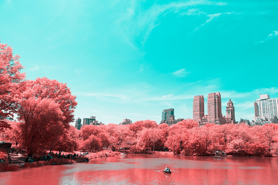 Paolo Pettigiani, infrared, New York, NYC, Central Park, photography, pink, nature