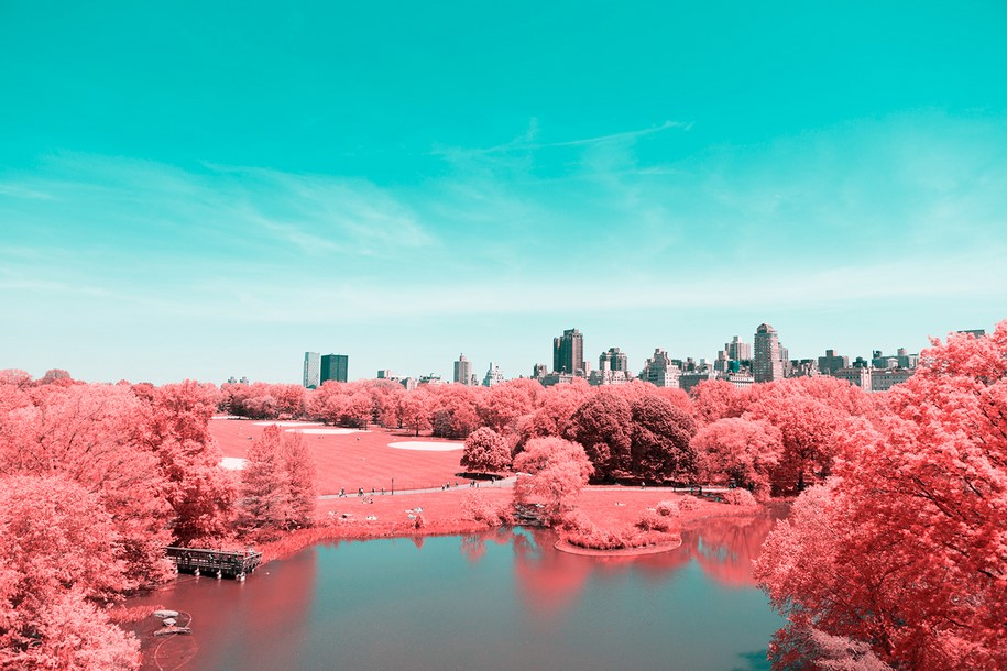 Paolo Pettigiani, infrared, New York, NYC, Central Park, photography, pink, nature