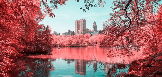 Archisearch - Fairytales are Made of this: Infrared NYC by Paolo Pettigiani